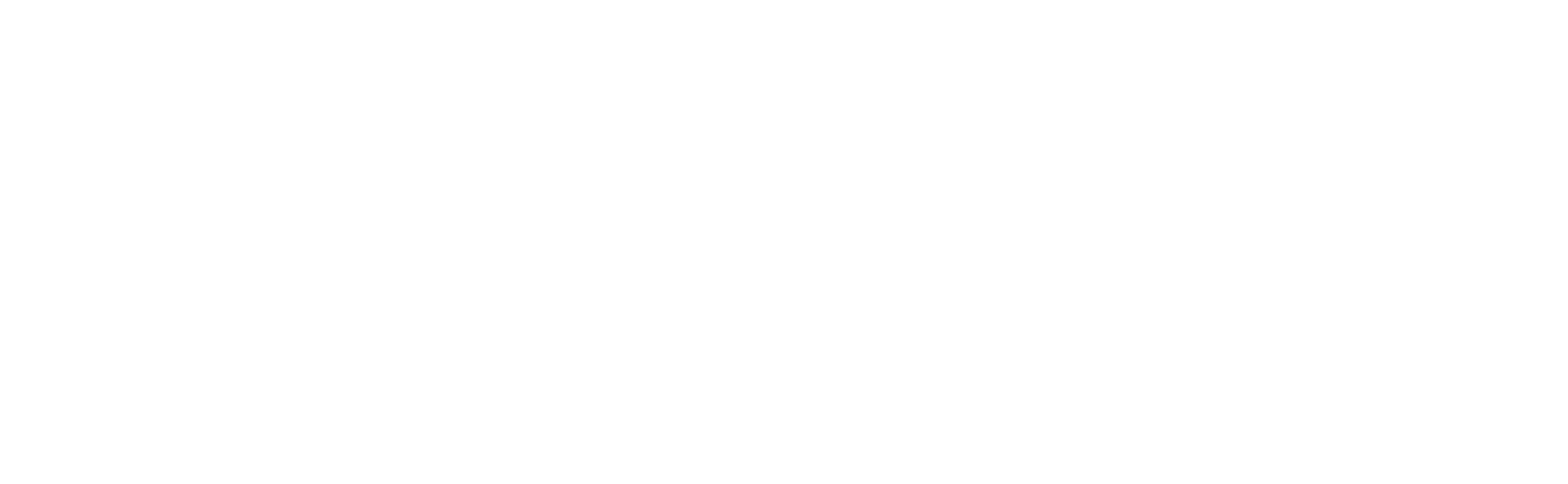 Image Footer